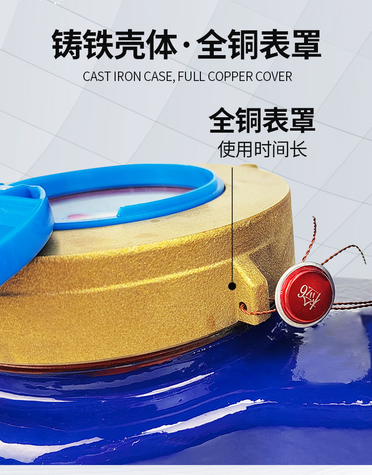 旋翼式大口径立式水表